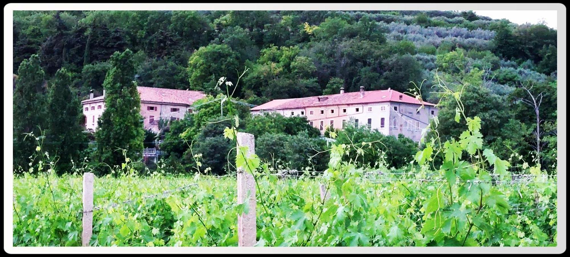 Agriturismo Andreis Alloggi Illasi Exterior foto